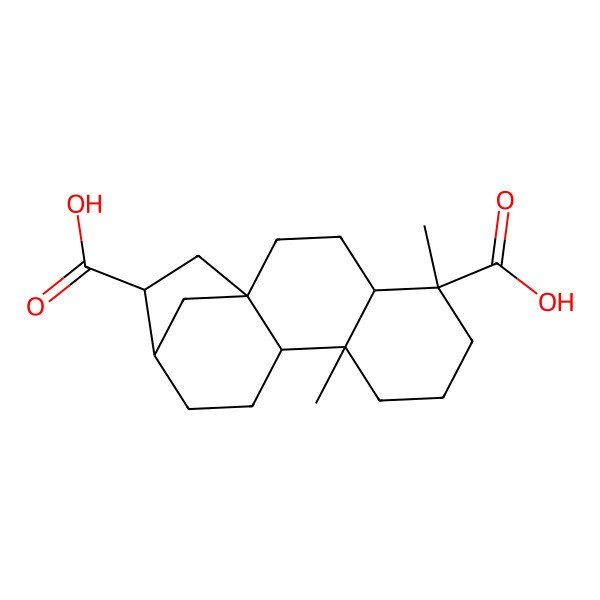 2D Structure of (1S,4R,5R,9S,10S,13R,14R)-5,9-dimethyltetracyclo[11.2.1.01,10.04,9]hexadecane-5,14-dicarboxylic acid