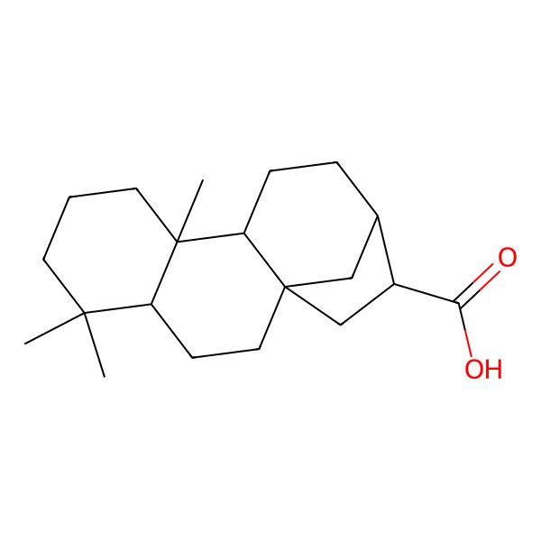 2D Structure of (1S,4R,9R,10R,13R,14S)-5,5,9-trimethyltetracyclo[11.2.1.01,10.04,9]hexadecane-14-carboxylic acid