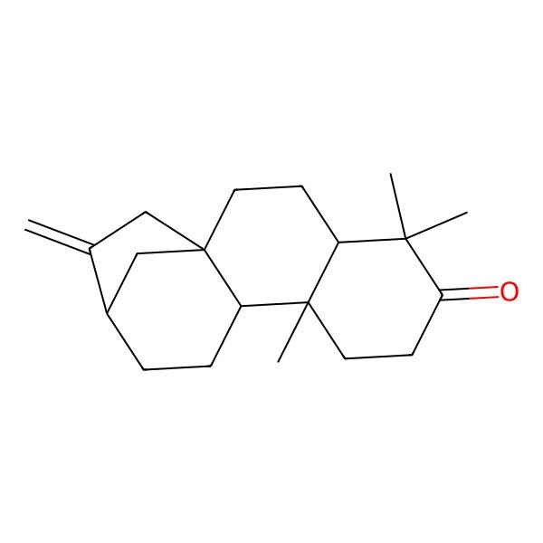 2D Structure of (1S,4S,9S,10R,13R)-5,5,9-trimethyl-14-methylidenetetracyclo[11.2.1.01,10.04,9]hexadecan-6-one