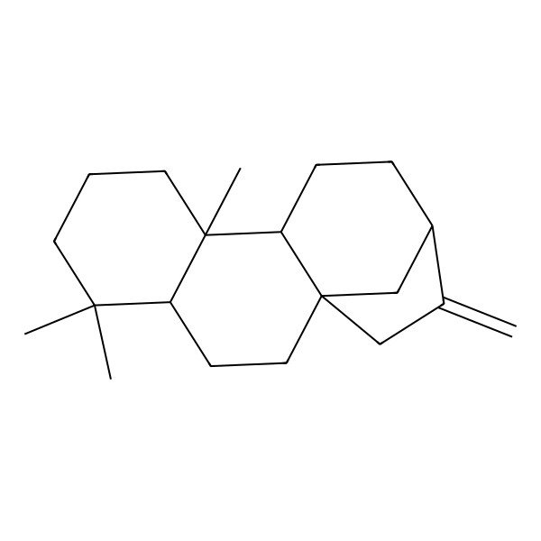 2D Structure of (1S,4S,9S,13R)-5,5,9-trimethyl-14-methylidenetetracyclo[11.2.1.01,10.04,9]hexadecane