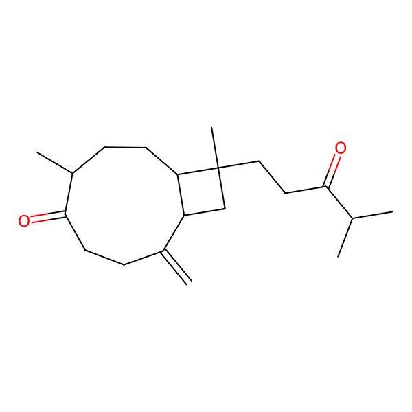 2D Structure of (1S,6R,9R,10R)-6,10-dimethyl-2-methylidene-10-(4-methyl-3-oxopentyl)bicyclo[7.2.0]undecan-5-one