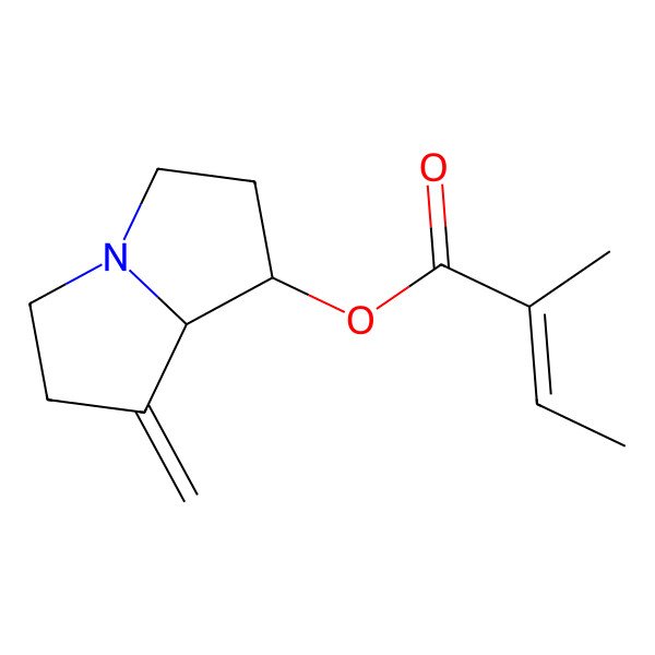2D Structure of [(1S,8R)-7-methylidene-1,2,3,5,6,8-hexahydropyrrolizin-1-yl] (Z)-2-methylbut-2-enoate