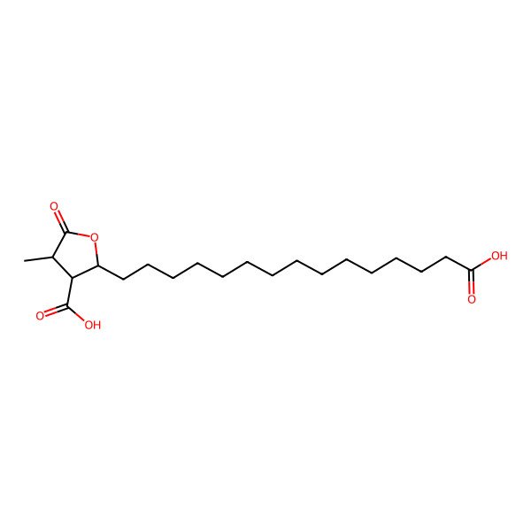 2D Structure of 2-(14-Carboxytetradecyl)-4-methyl-5-oxooxolane-3-carboxylic acid
