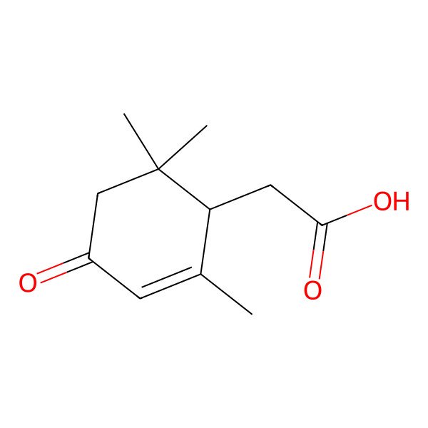 2D Structure of 2-[(1R)-2,6,6-trimethyl-4-oxocyclohex-2-en-1-yl]acetic acid