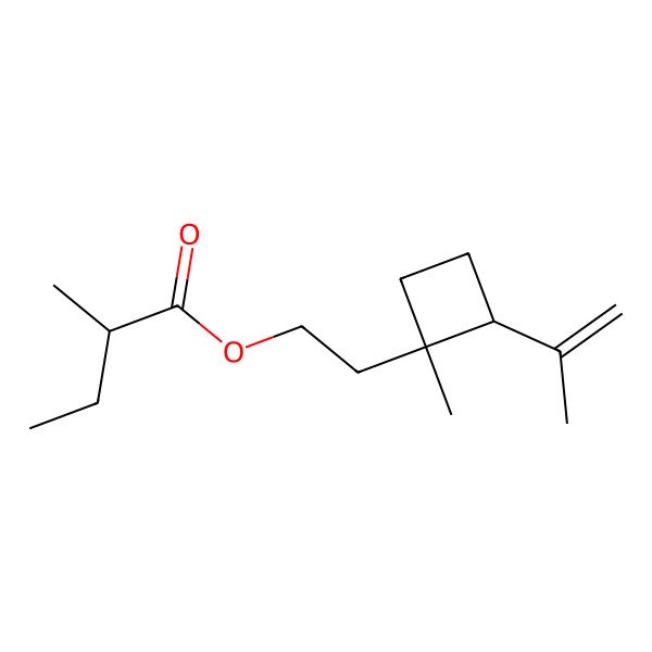 2D Structure of 2-((1R,2R)-1-Methyl-2-(prop-1-en-2-yl)cyclobutyl)ethyl 2-methylbutanoate 2D Structure of 2-((1R,2R)-1-Methyl-2-(prop-1-en-2-yl)cyclobutyl)ethyl 2-methylbutanoate