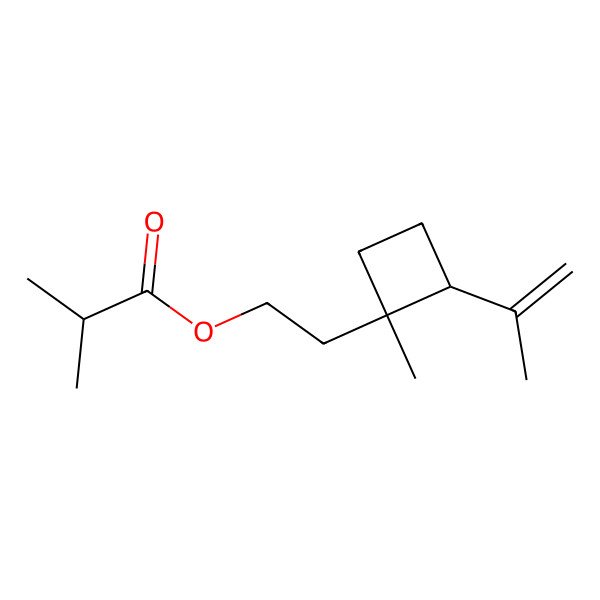 2D Structure of 2-((1R,2R)-1-Methyl-2-(prop-1-en-2-yl)cyclobutyl)ethyl isobutyrate 2D Structure of 2-((1R,2R)-1-Methyl-2-(prop-1-en-2-yl)cyclobutyl)ethyl isobutyrate
