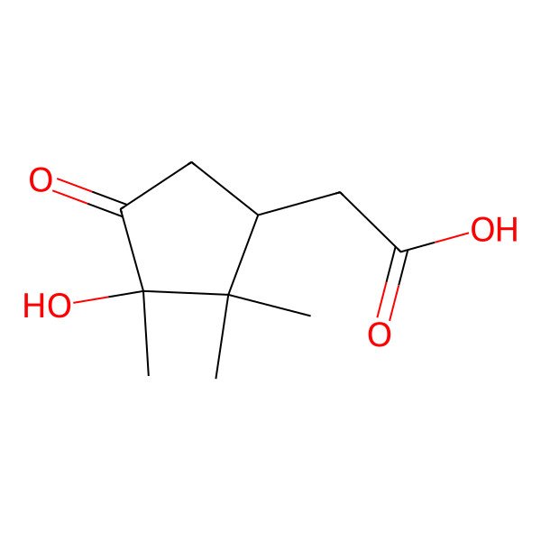2D Structure of 2-[(1R,3S)-3-hydroxy-2,2,3-trimethyl-4-oxocyclopentyl]acetic acid