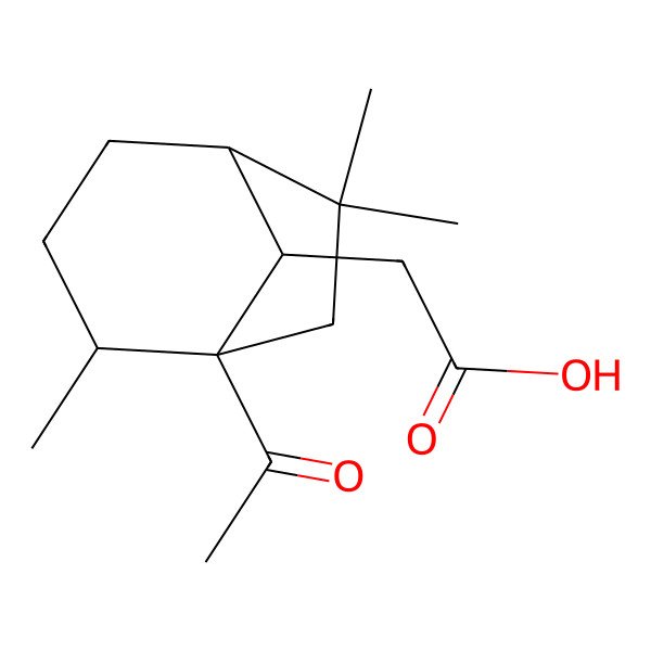 2D Structure of 2-[(1S,2S,5S,8S)-1-acetyl-2,6,6-trimethyl-8-bicyclo[3.2.1]octanyl]acetic acid