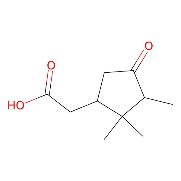 2D Structure of 2-[(1S,3R)-2,2,3-trimethyl-4-oxocyclopentyl]acetic acid