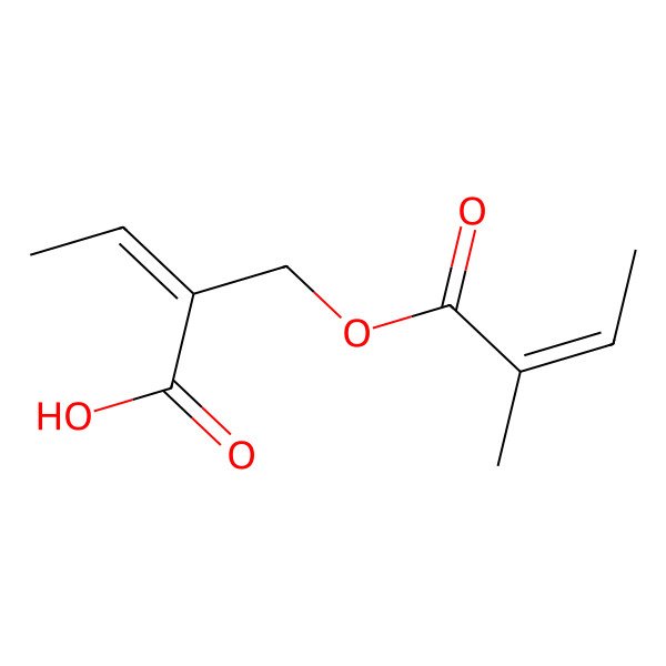 2D Structure of 2-(2-Methylbut-2-enoyloxymethyl)but-2-enoic acid 2D Structure of 2-(2-Methylbut-2-enoyloxymethyl)but-2-enoic acid