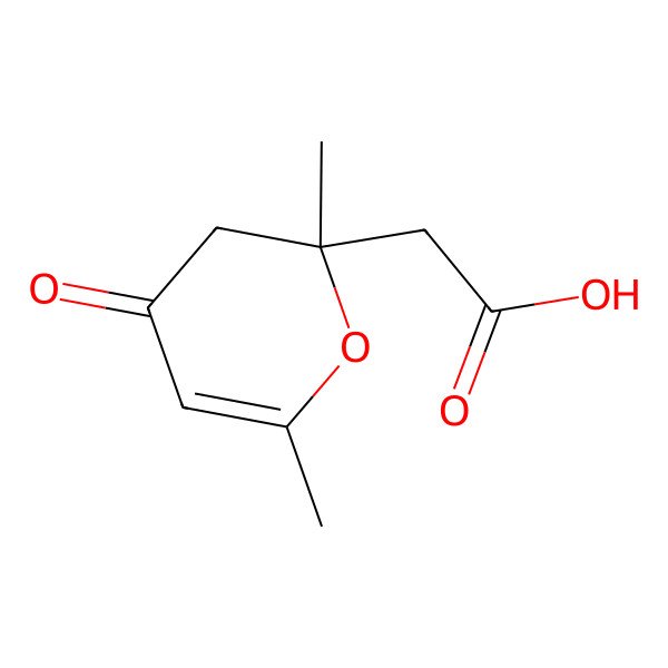2D Structure of 2-(2,6-dimethyl-4-oxo-3H-pyran-2-yl)acetic acid