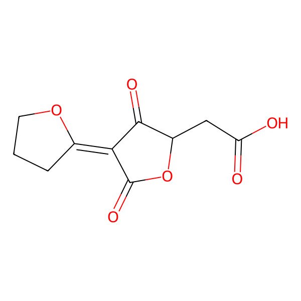 2D Structure of 2-[(2S,4Z)-3,5-dioxo-4-(oxolan-2-ylidene)oxolan-2-yl]acetic acid