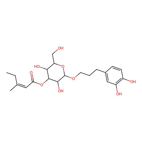 2D Structure of [2-[3-(3,4-Dihydroxyphenyl)propoxy]-3,5-dihydroxy-6-(hydroxymethyl)oxan-4-yl] 3-methylpent-2-enoate