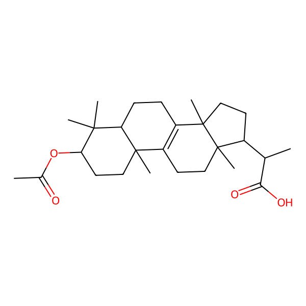 2D Structure of 2-[3-Acetoxy-4,4,14-trimethylandrost-8-en-17-yl] propanoic acid
