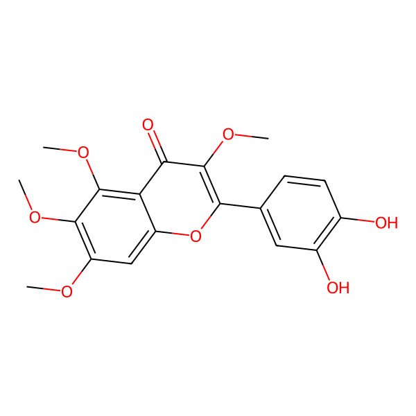 2D Structure of 2-(3,4-Dihydroxyphenyl)-3,5,6,7-tetramethoxychromen-4-one 2D Structure of 2-(3,4-Dihydroxyphenyl)-3,5,6,7-tetramethoxychromen-4-one