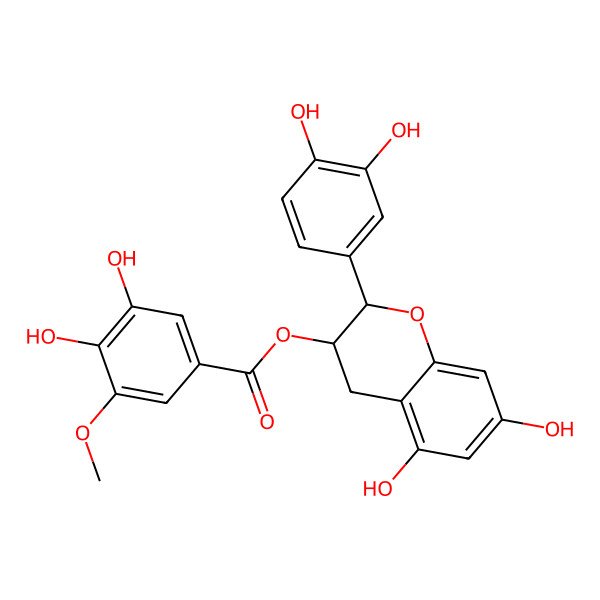 2D Structure of [2-(3,4-dihydroxyphenyl)-5,7-dihydroxy-3,4-dihydro-2H-chromen-3-yl] 3,4-dihydroxy-5-methoxybenzoate
