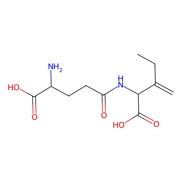 2D Structure of 2-[(4-Amino-4-carboxybutanoyl)amino]-3-methylidenepentanoic acid