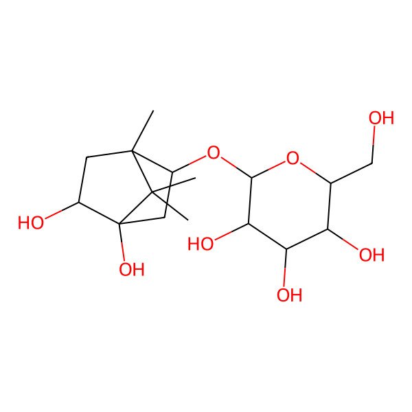 2D Structure of 2-[(4,5-Dihydroxy-1,7,7-trimethyl-2-bicyclo[2.2.1]heptanyl)oxy]-6-(hydroxymethyl)oxane-3,4,5-triol