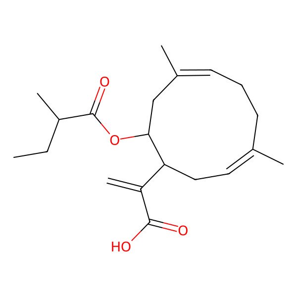 2D Structure of 2-[4,8-Dimethyl-10-(2-methylbutanoyloxy)cyclodeca-3,7-dien-1-yl]prop-2-enoic acid