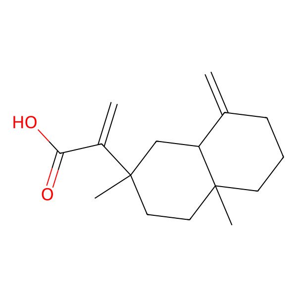 2D Structure of 2-[(8aR)-2,4a-dimethyl-8-methylidene-3,4,5,6,7,8a-hexahydro-1H-naphthalen-2-yl]prop-2-enoic acid