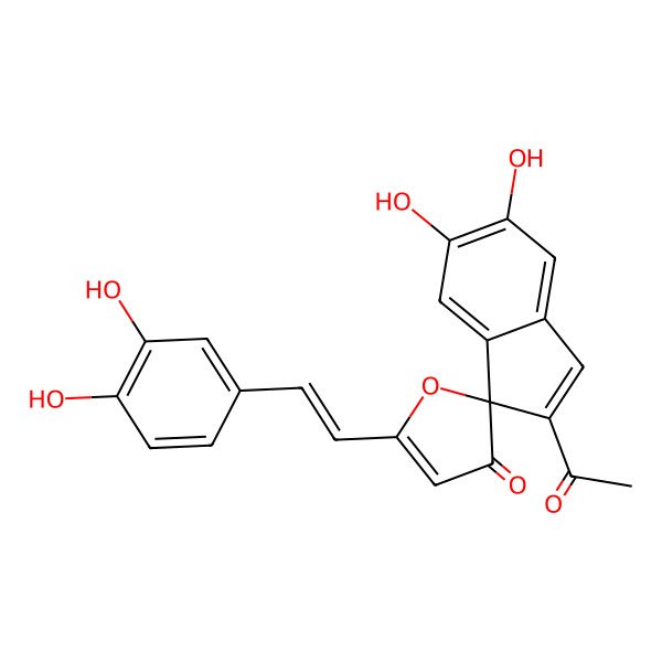 2D Structure of 2'-Acetyl-5-[2-(3,4-dihydroxyphenyl)ethenyl]-5',6'-dihydroxyspiro[furan-2,1'-indene]-3-one