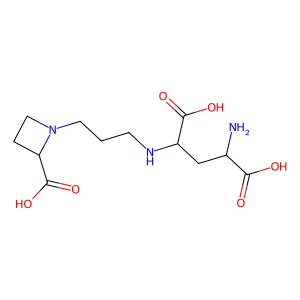 2D Structure of 2-Amino-4-[3-(2-carboxyazetidin-1-yl)propylamino]pentanedioic acid
