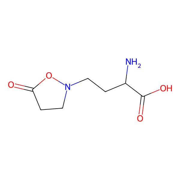 2D Structure of 2-Amino-4-(5-oxo-1,2-oxazolidin-2-yl)butanoic acid 2D Structure of 2-Amino-4-(5-oxo-1,2-oxazolidin-2-yl)butanoic acid