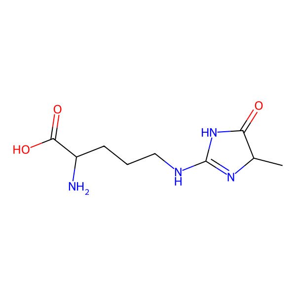2D Structure of 2-amino-5-[(4-methyl-5-oxo-1,4-dihydroimidazol-2-yl)amino]pentanoic acid