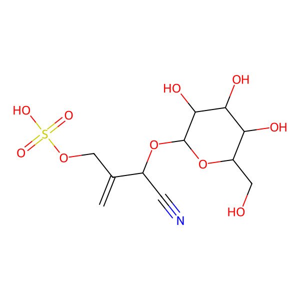 2D Structure of 2-[Cyano-[3,4,5-trihydroxy-6-(hydroxymethyl)oxan-2-yl]oxymethyl]prop-2-enyl hydrogen sulfate
