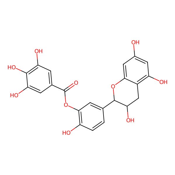 2D Structure of [2-hydroxy-5-(3,5,7-trihydroxy-3,4-dihydro-2H-chromen-2-yl)phenyl] 3,4,5-trihydroxybenzoate