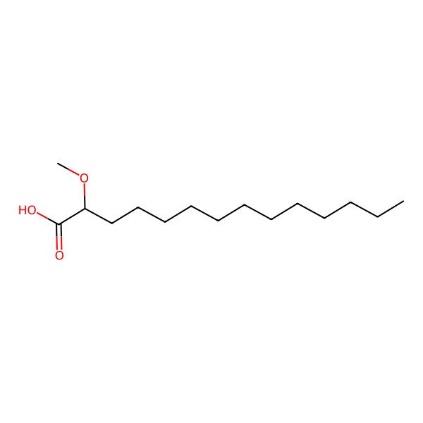 2D Structure of 2-Methoxytetradecanoic acid