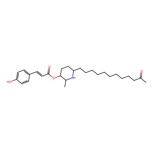 2D Structure of [2-Methyl-6-(11-oxododecyl)piperidin-3-yl] 3-(4-hydroxyphenyl)prop-2-enoate