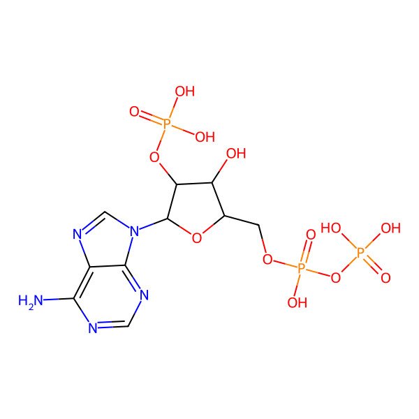 2D Structure of 2'-Monophosphoadenosine-5'-Diphosphate