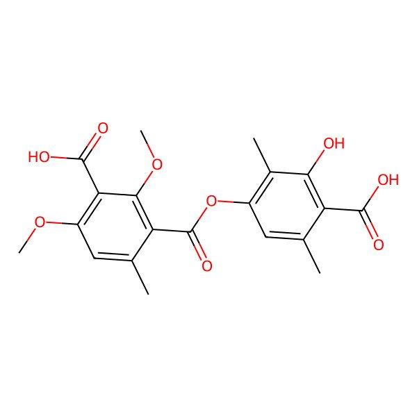 2D Structure of 2-O-Methylsquamatic acid