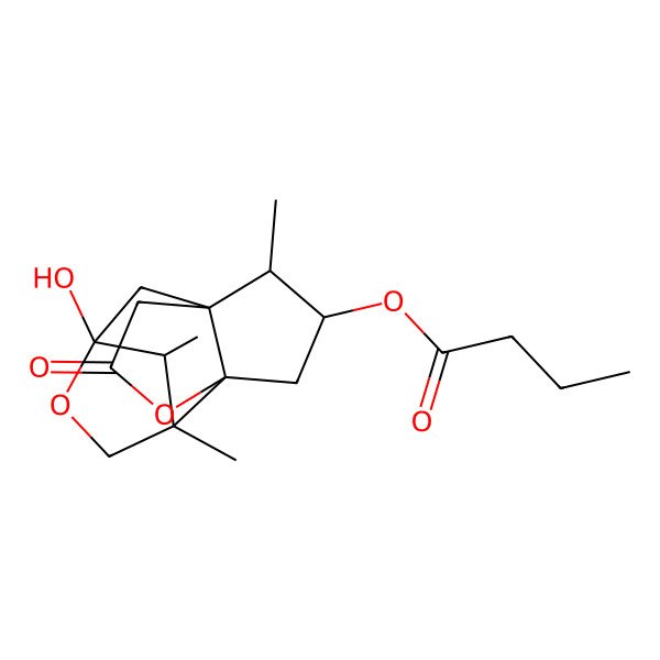 2D Structure of 2-O-n-Butyrylpseudomajucin 2D Structure of 2-O-n-Butyrylpseudomajucin