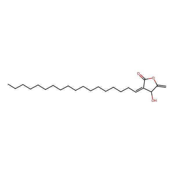 2D Structure of 2-Octadecylidene-3-hydroxy-4-methylenebutanolide