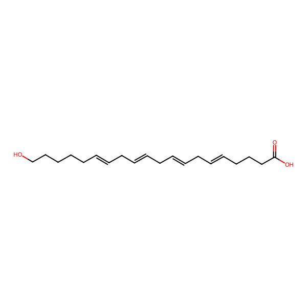 2D Structure of 20-Hydroxyeicosatetraenoic acid