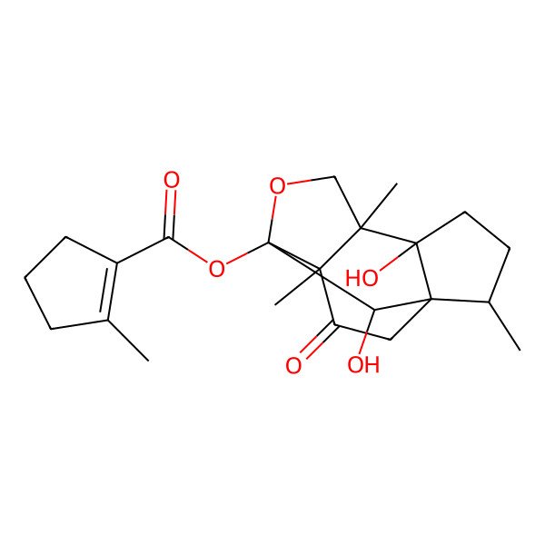 2D Structure of [(1S,2R,5S,6S,9R,10S,13R)-5,13-dihydroxy-2,6,10-trimethyl-11-oxo-8-oxatetracyclo[7.3.1.01,5.06,10]tridecan-9-yl] 2-methylcyclopentene-1-carboxylate