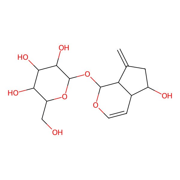 2D Structure of (2S,3R,4S,5S,6R)-2-[[(1S,4aR,5R,7aS)-5-hydroxy-7-methylidene-4a,5,6,7a-tetrahydro-1H-cyclopenta[c]pyran-1-yl]oxy]-6-(hydroxymethyl)oxane-3,4,5-triol