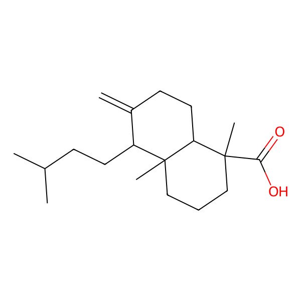 2D Structure of 1,4a-dimethyl-5-(3-methylbutyl)-6-methylidene-3,4,5,7,8,8a-hexahydro-2H-naphthalene-1-carboxylic acid