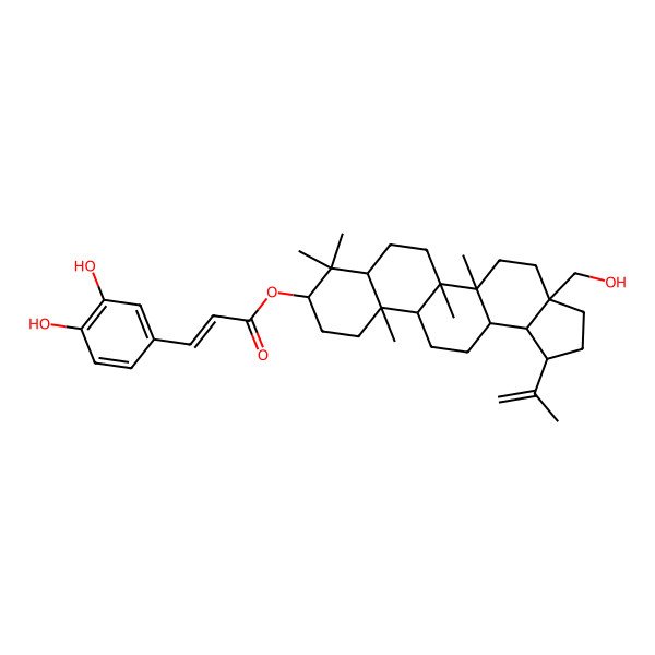 2D Structure of [(1R,3aS,5aR,5bR,7aR,9S,11aS,11bR,13aR,13bS)-3a-(hydroxymethyl)-5a,5b,8,8,11a-pentamethyl-1-prop-1-en-2-yl-1,2,3,4,5,6,7,7a,9,10,11,11b,12,13,13a,13b-hexadecahydrocyclopenta[a]chrysen-9-yl] (E)-3-(3,4-dihydroxyphenyl)prop-2-enoate