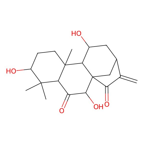 2D Structure of (1R,2R,4S,6S,9S,10S,11S,13S)-2,6,11-trihydroxy-5,5,9-trimethyl-14-methylidenetetracyclo[11.2.1.01,10.04,9]hexadecane-3,15-dione