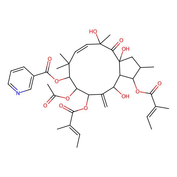 2D Structure of [(1S,2S,3aR,5R,6Z,9S,10S,11S,13R,13aS)-10-acetyloxy-3a,5,13-trihydroxy-2,5,8,8-tetramethyl-1,11-bis[[(Z)-2-methylbut-2-enoyl]oxy]-12-methylidene-4-oxo-1,2,3,9,10,11,13,13a-octahydrocyclopenta[12]annulen-9-yl] pyridine-3-carboxylate