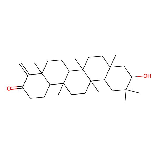 2D Structure of 10-Hydroxy-4a,6a,6b,8a,11,11,14a-heptamethyl-4-methylidene-1,2,5,6,6a,7,8,9,10,12,12a,13,14,14b-tetradecahydropicen-3-one 2D Structure of 10-Hydroxy-4a,6a,6b,8a,11,11,14a-heptamethyl-4-methylidene-1,2,5,6,6a,7,8,9,10,12,12a,13,14,14b-tetradecahydropicen-3-one