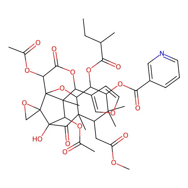 2D Structure of [11,16-Diacetyloxy-13-(furan-3-yl)-10-hydroxy-7-(2-methoxy-2-oxoethyl)-6,6,8,12-tetramethyl-4-(2-methylbutanoyloxy)-9,15-dioxospiro[2,14-dioxatetracyclo[8.6.1.01,12.03,8]heptadecane-17,2'-oxirane]-5-yl] pyridine-3-carboxylate