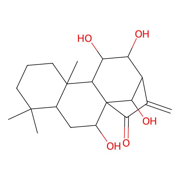 2D Structure of 2,11,12,16-Tetrahydroxy-5,5,9-trimethyl-14-methylidenetetracyclo[11.2.1.01,10.04,9]hexadecan-15-one