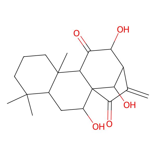 2D Structure of 2,12,16-Trihydroxy-5,5,9-trimethyl-14-methylidenetetracyclo[11.2.1.01,10.04,9]hexadecane-11,15-dione