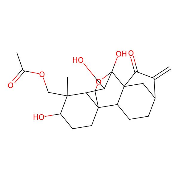 2D Structure of [(1R,2S,5R,8S,9S,10S,11S,12R,13S)-9,10,13-trihydroxy-12-methyl-6-methylidene-7-oxo-17-oxapentacyclo[7.6.2.15,8.01,11.02,8]octadecan-12-yl]methyl acetate