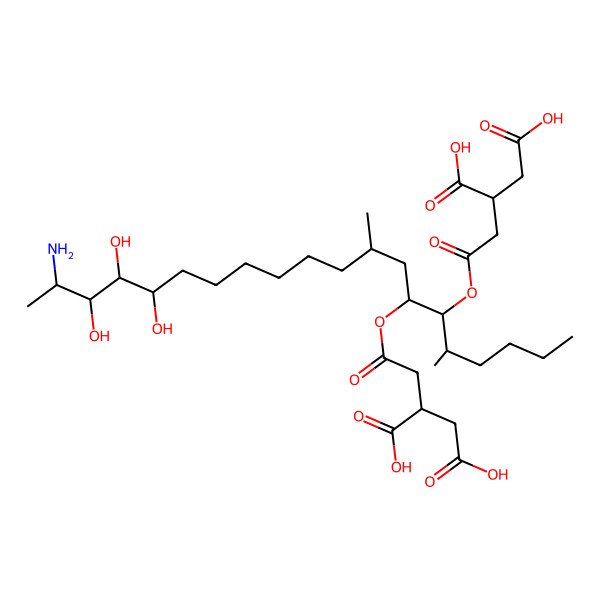 2D Structure of 2-[2-[19-Amino-6-(3,4-dicarboxybutanoyloxy)-16,17,18-trihydroxy-5,9-dimethylicosan-7-yl]oxy-2-oxoethyl]butanedioic acid