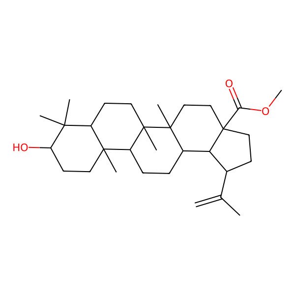 2D Structure of methyl (1S,3aS,5aS,5bR,7aS,9S,11aR,11bS,13aR,13bS)-9-hydroxy-5a,5b,8,8,11a-pentamethyl-1-prop-1-en-2-yl-1,2,3,4,5,6,7,7a,9,10,11,11b,12,13,13a,13b-hexadecahydrocyclopenta[a]chrysene-3a-carboxylate